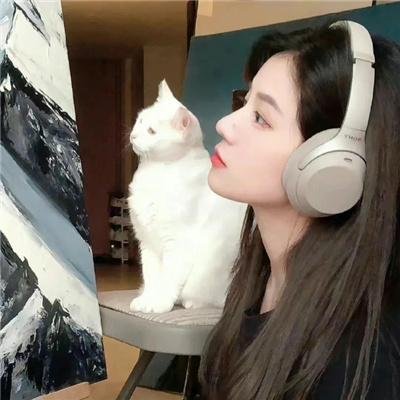 骚莎大块呆